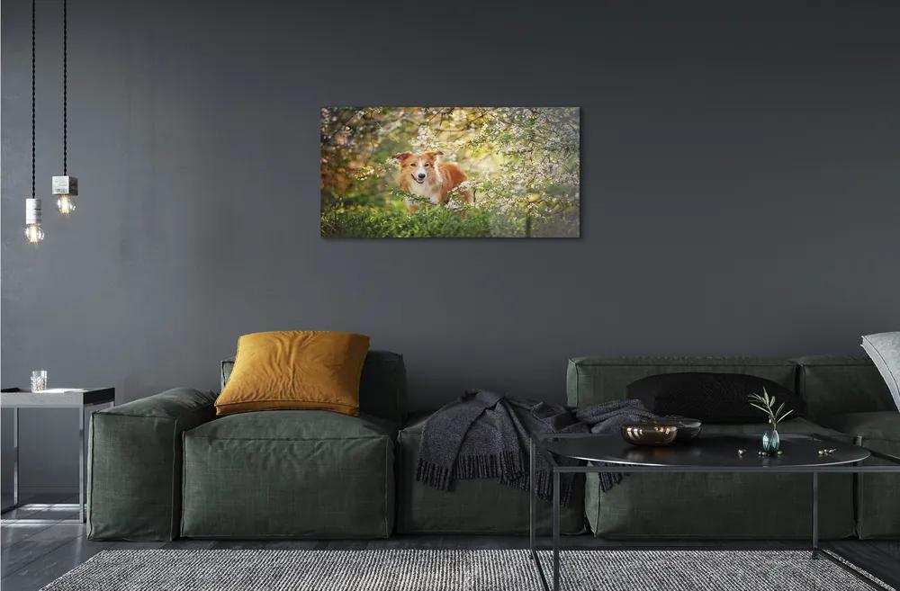 Sklenený obraz Psie lesné kvety 100x50 cm