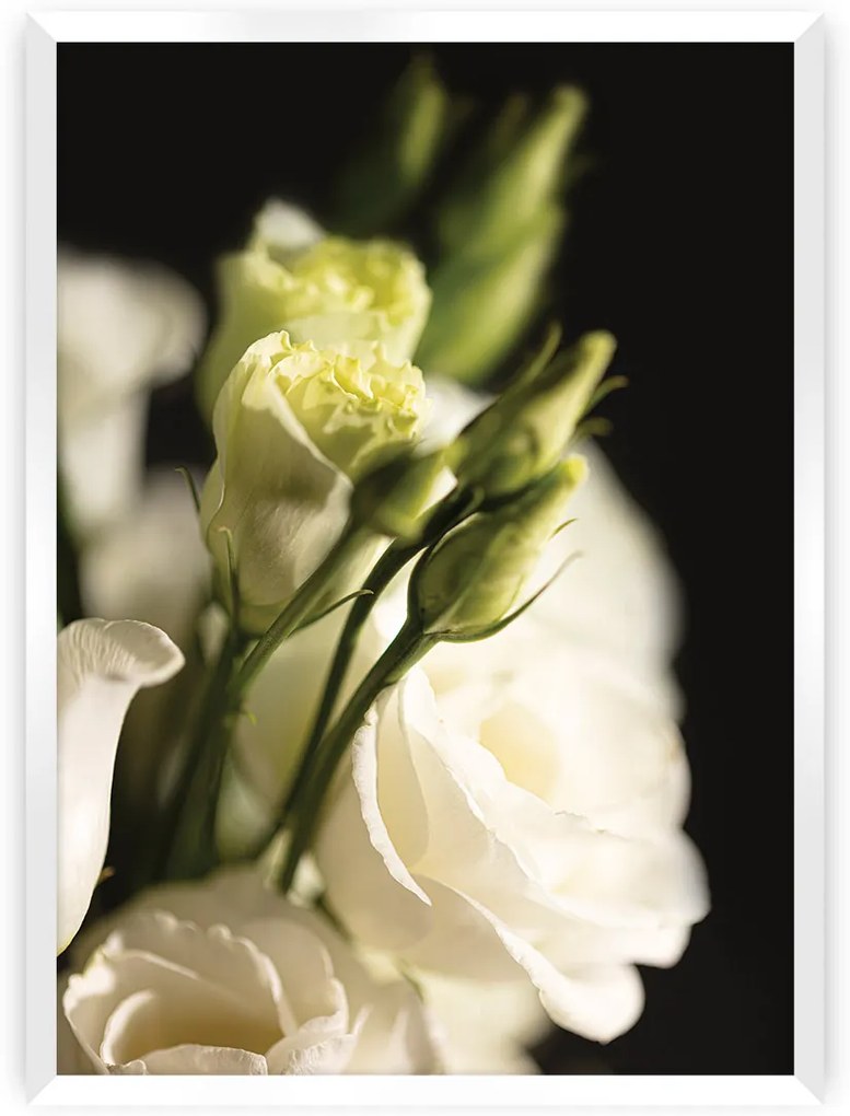 Plagát Dark Flowers I