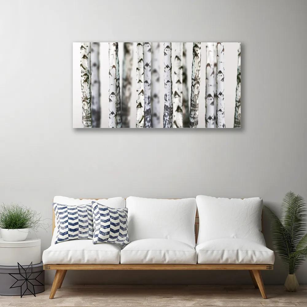 Obraz Canvas Stromy príroda 100x50 cm