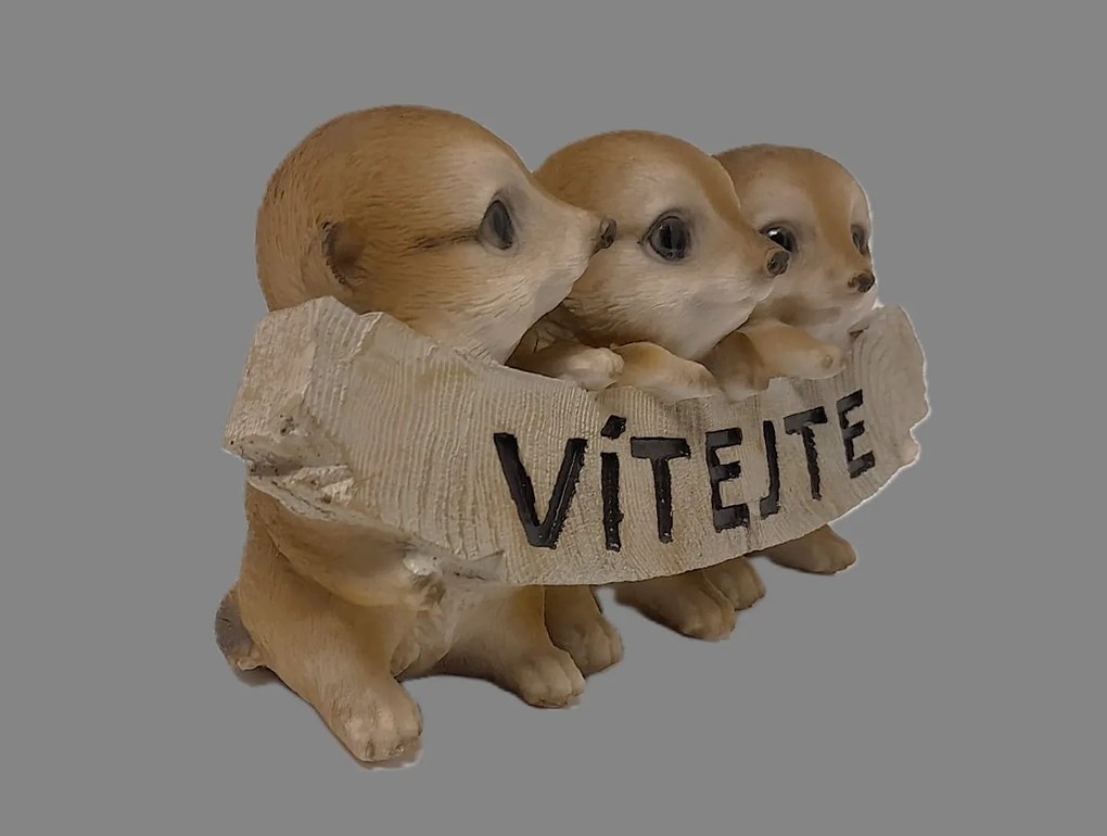 PRODEX IMPORT Figúrky Surikaty - vitajte