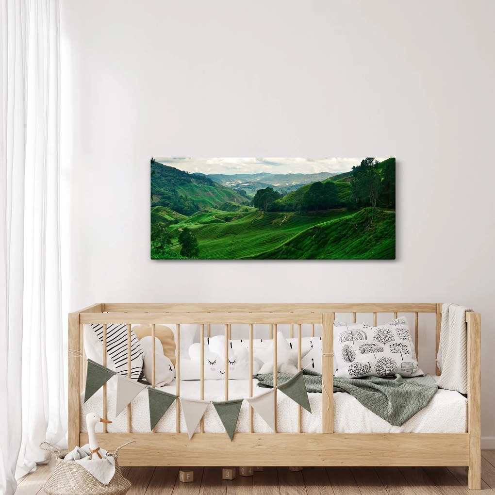 Obraz - Čajové plantáže v Malajzii (120x50 cm)