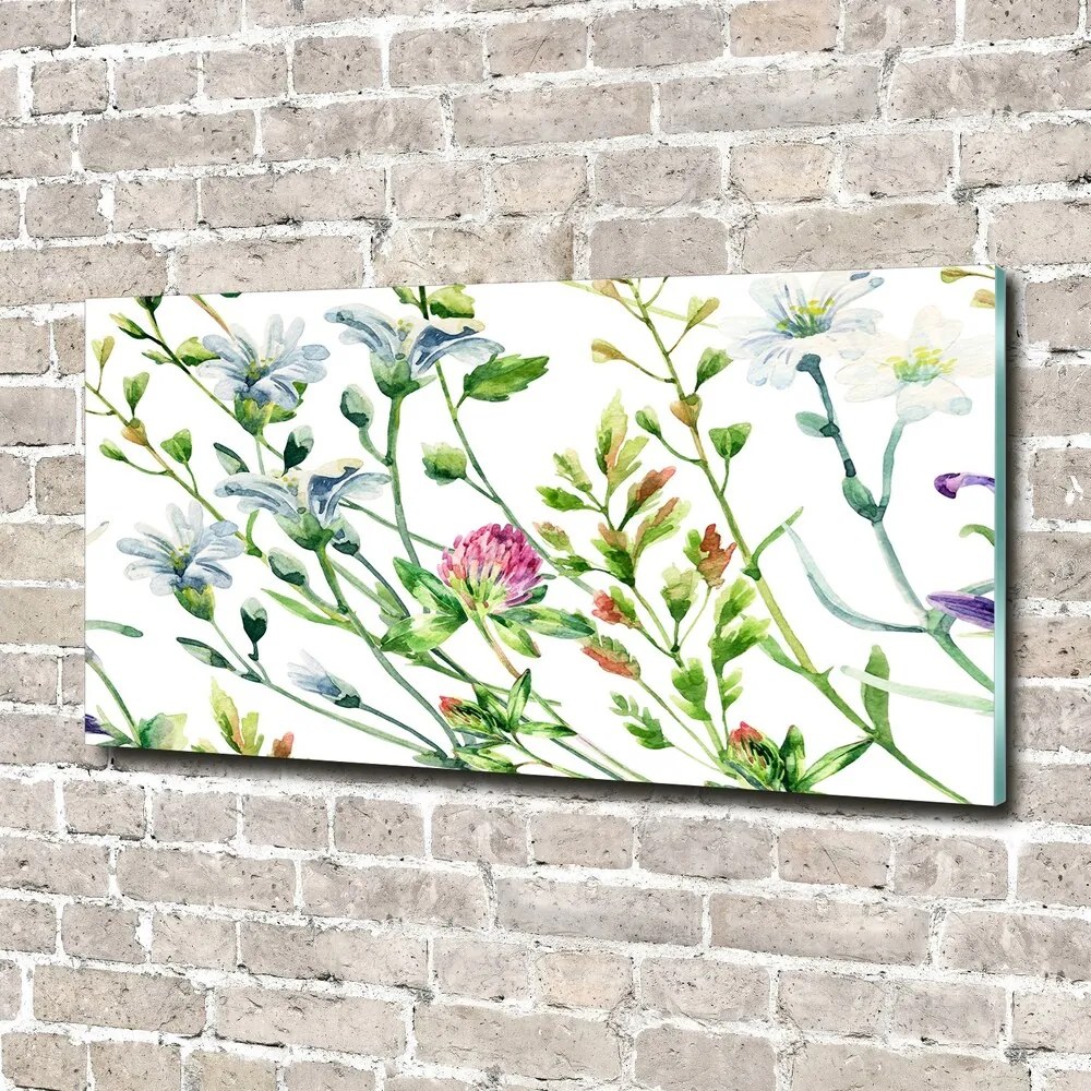 Foto obraz sklo tvrdené Divoké kvety pl-osh-140x70-f-118519583