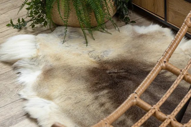 Koberec RENIFER POK016 hnedý / béžový