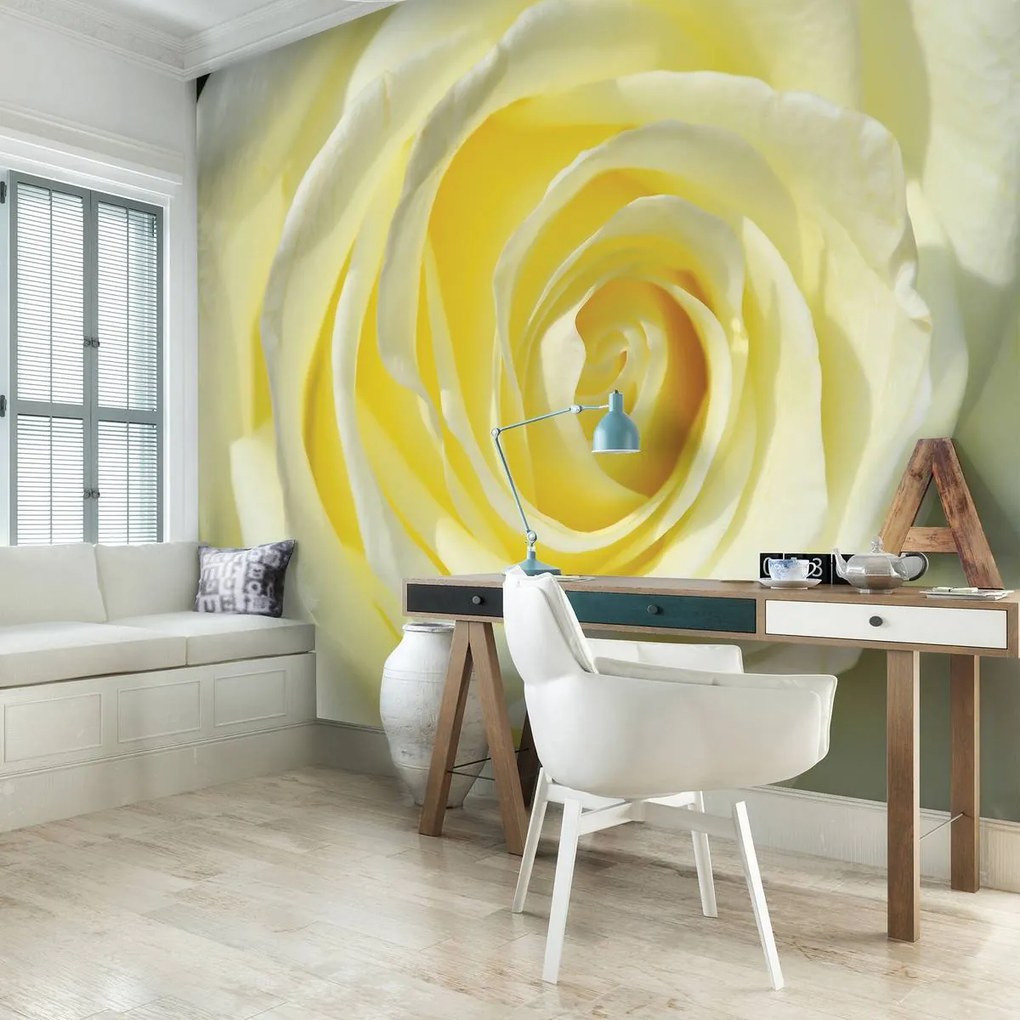 Fototapeta - Žltkastá ruža (152,5x104 cm)
