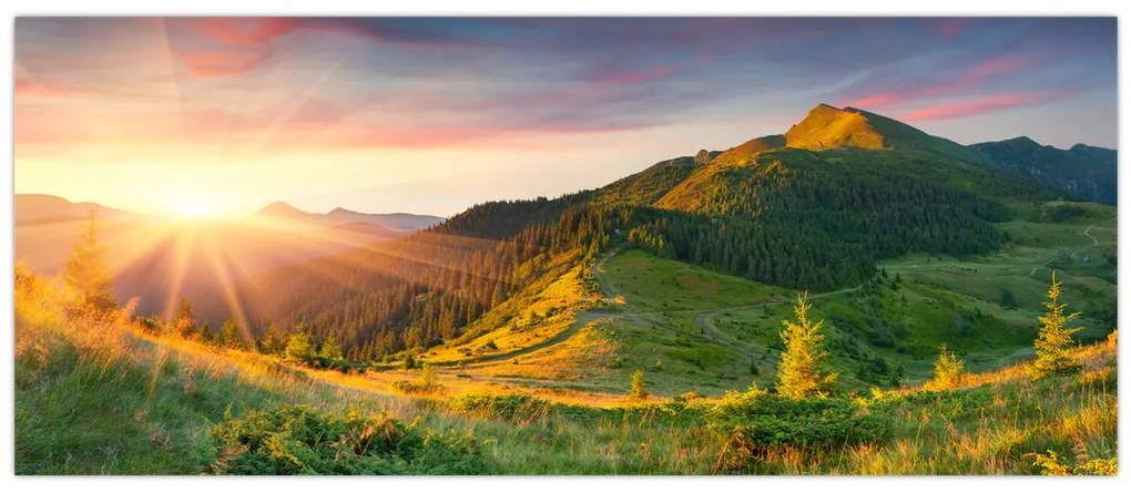 Obraz - Letná krajina (120x50 cm)