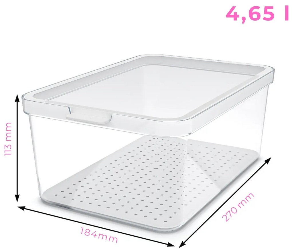 Rotho Organizér do chladničky, s vekom a špeciálnou podložkou 4,65 l CAUMA