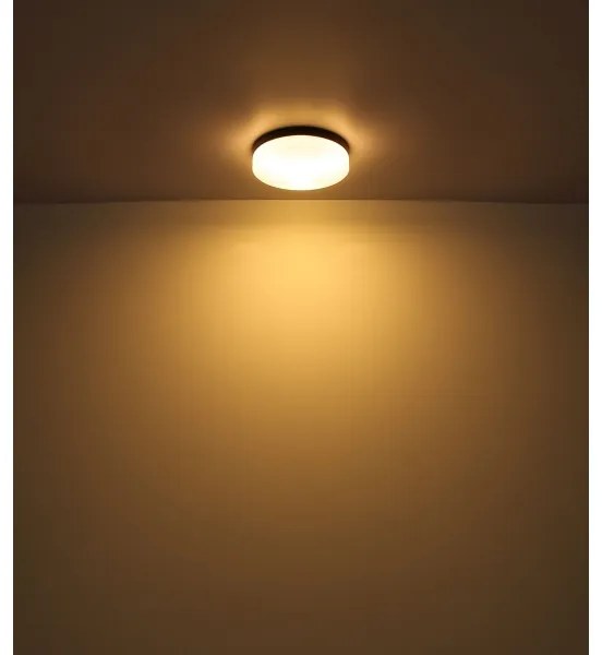 Globo 32112B - Kúpeľňové svietidlo VRANOS 2xE27/60W/230V pr. 24 cm IP44