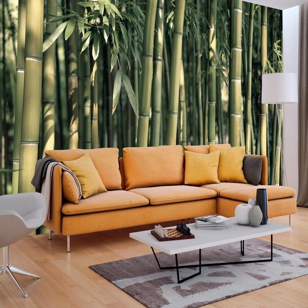 Artgeist Fototapeta - Bamboo Exotic Veľkosť: 98x70, Verzia: Samolepiaca