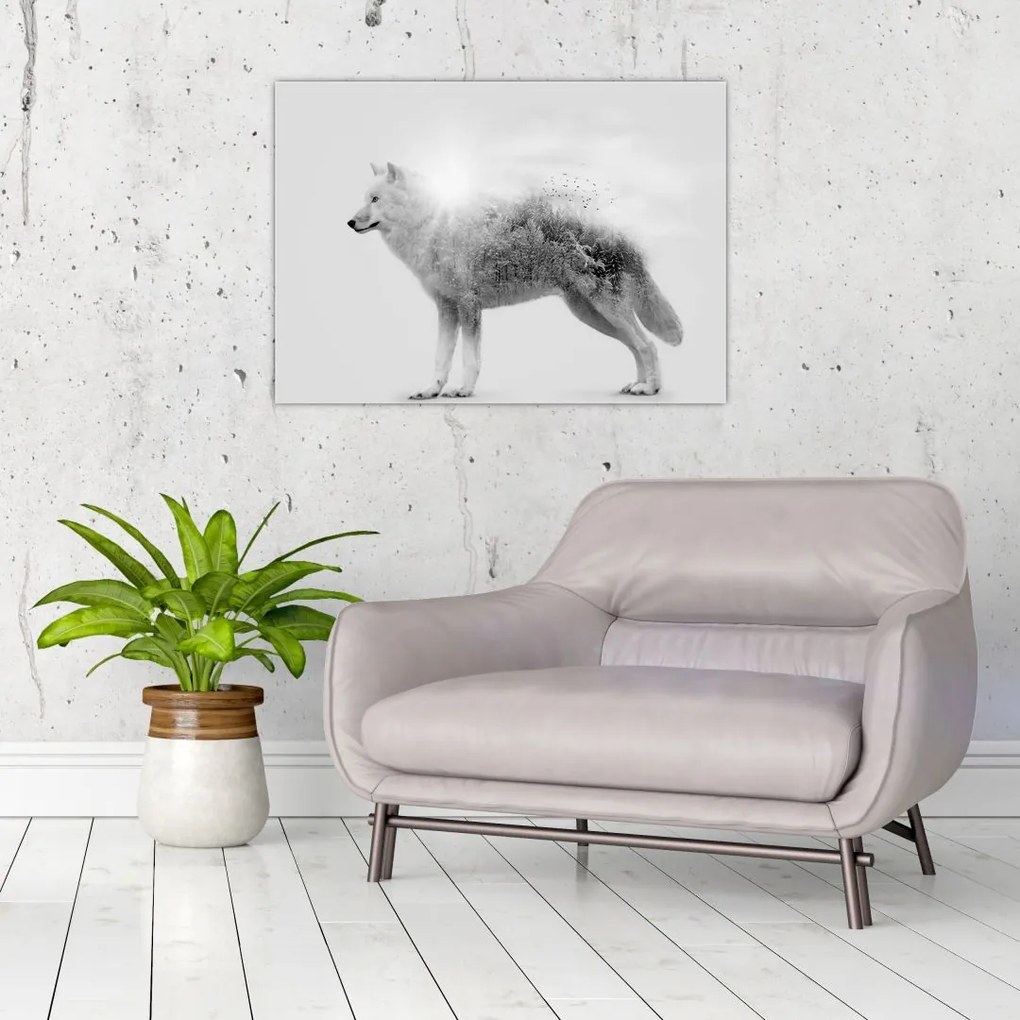 Sklenený obraz - Arktický vlk zrkadliaci divokú krajinu, čiernobiely (70x50 cm)