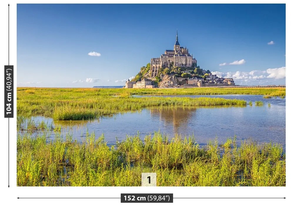 Fototapeta Vliesová Le mont saintmichel 104x70 cm