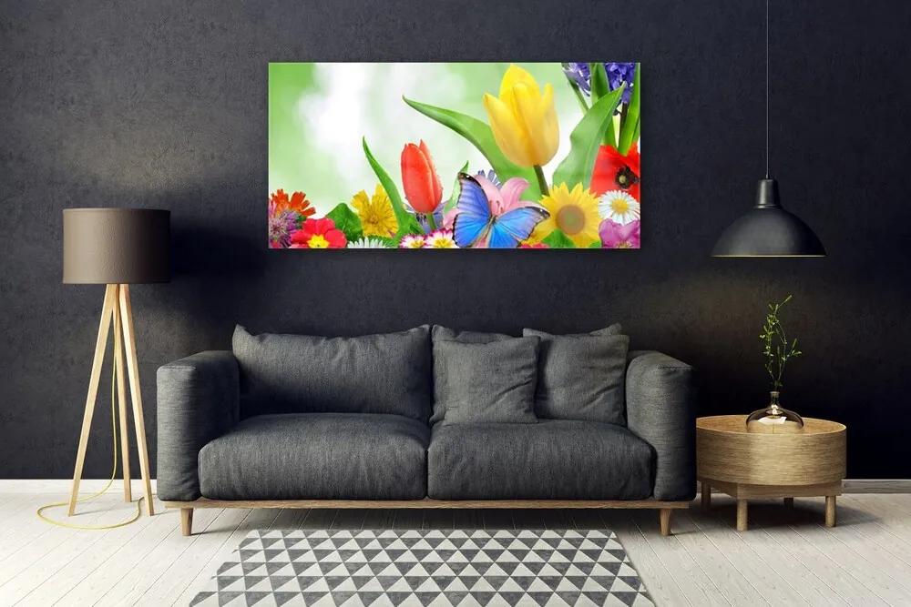 Obraz plexi Motýľ kvety príroda 120x60 cm