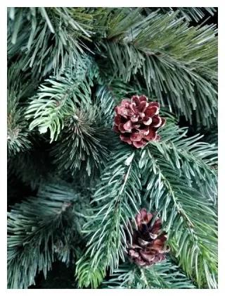 Limpol Vianočný stromček so železným stojanom borovica Pola 220 cm