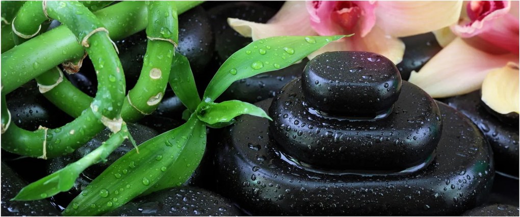 Obraz - Kamene a orchidey (120x50 cm)