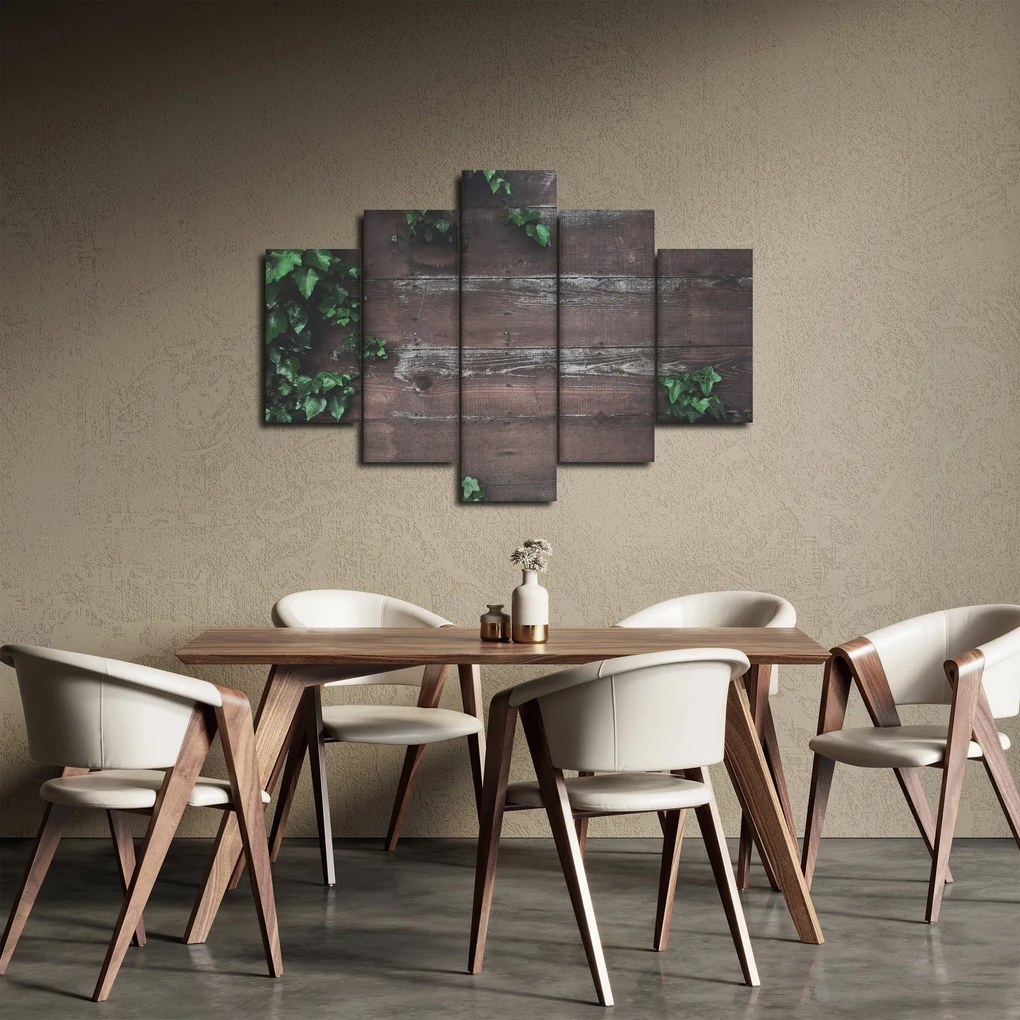 Obraz - Brečtan (150x105 cm)