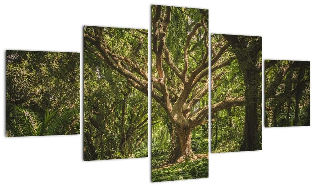 Obraz stromov (125x70 cm), 40 ďalších rozmerov