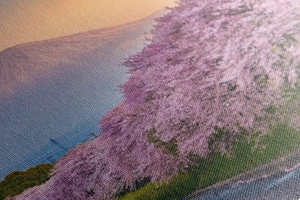 Obraz romantický pohľad na Japonsko