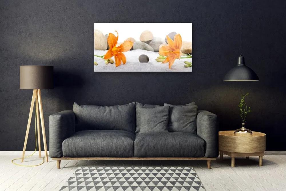 Skleneny obraz Ľalia kamene príroda 125x50 cm