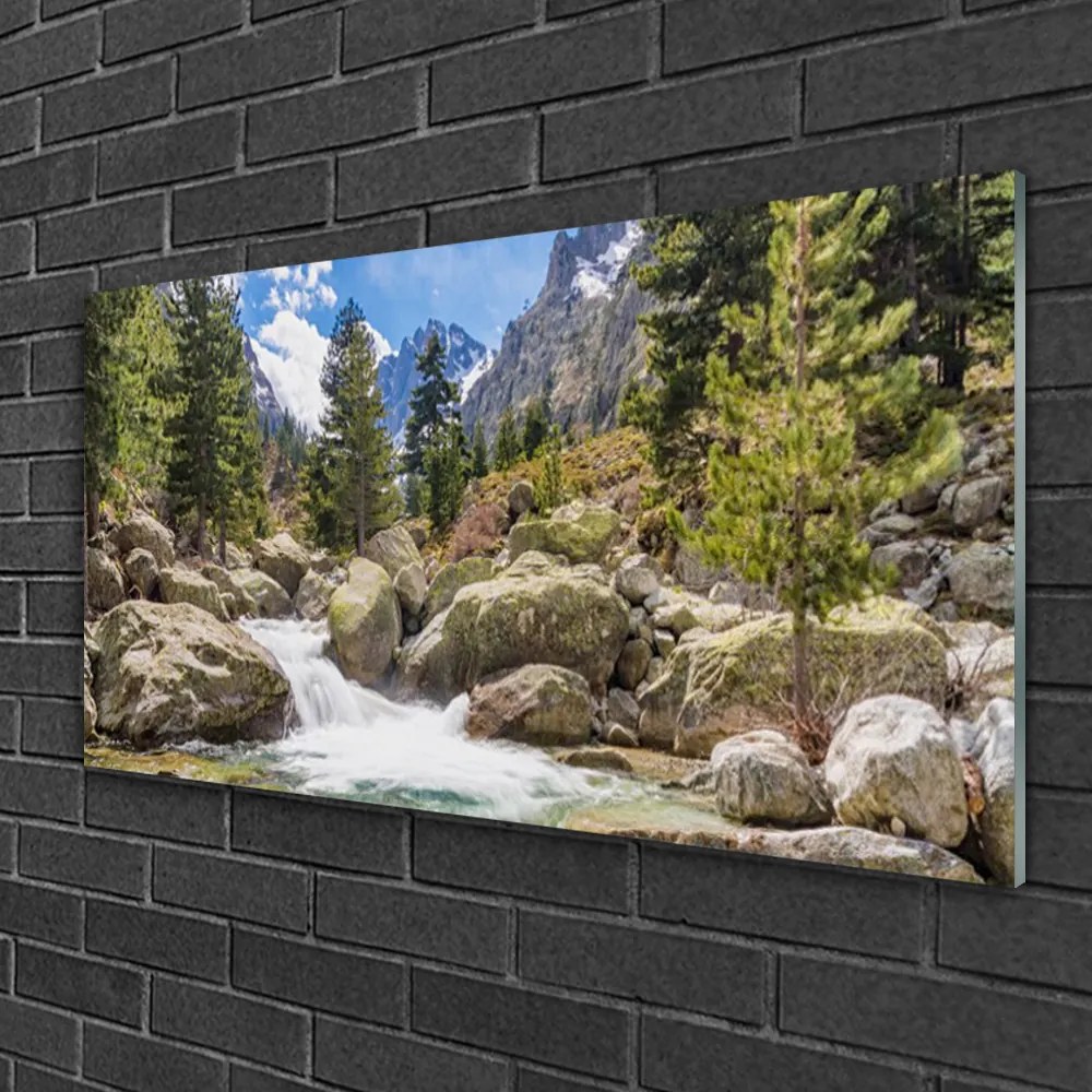 Skleneny obraz Hora les kamene rieka 125x50 cm