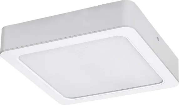 Rabalux 3176 - LED Stropné svietidlo SHAUN LED/24W/230V 22 cm
