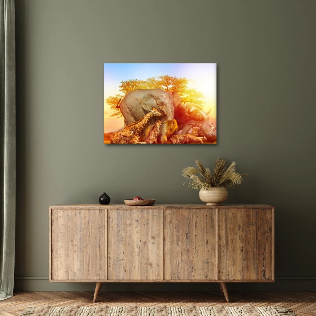 Obraz afrických zvieratiek (70x50 cm)