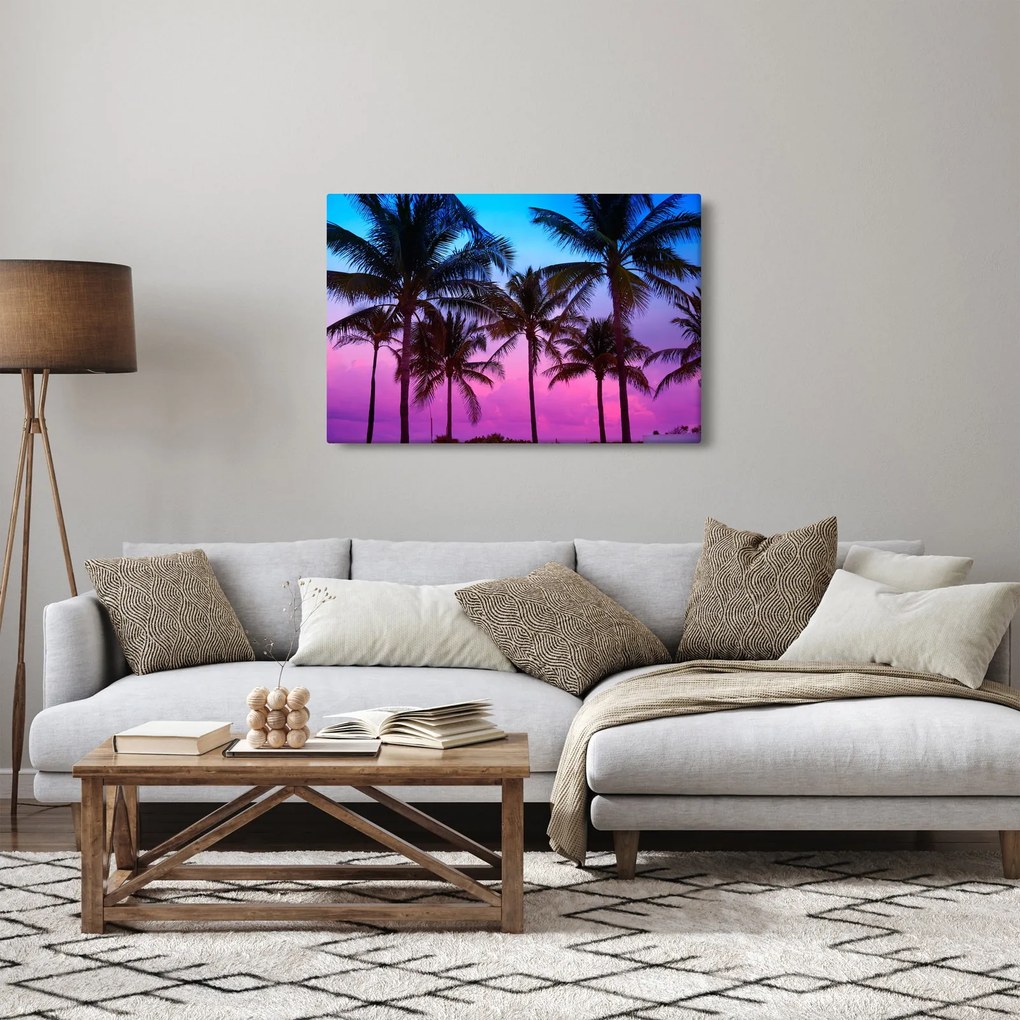 Obraz - Palmy v Miami (90x60 cm)
