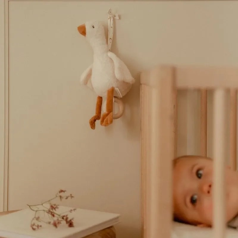 Hudobná hus Newborn Naturals