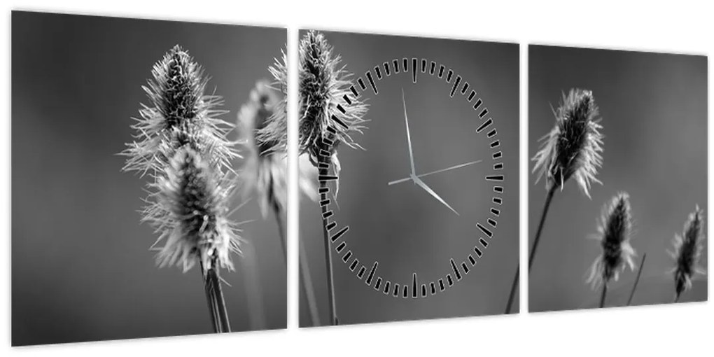Obraz - Béžová soft grass N⁰2 (s hodinami) (90x30 cm)
