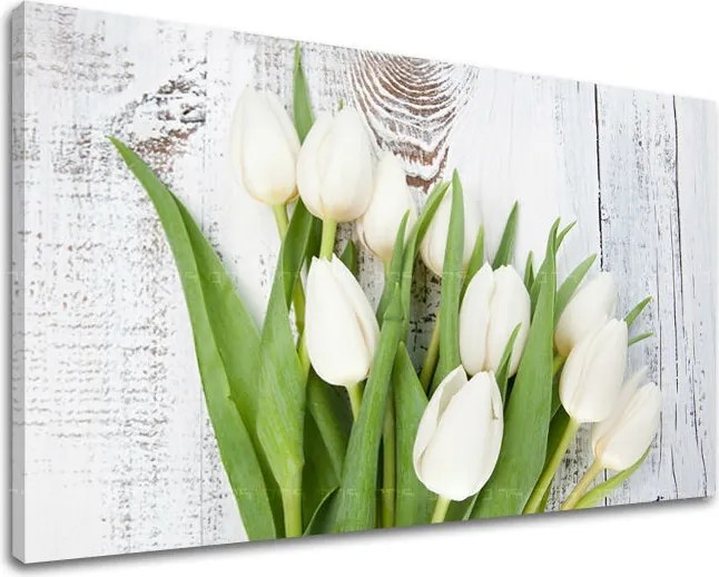 Obraz na stenu KVETY KV036E11 - 40x60 cm