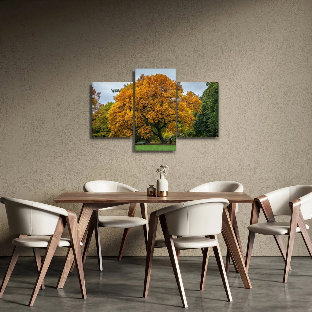 Obraz stromu (90x60 cm)