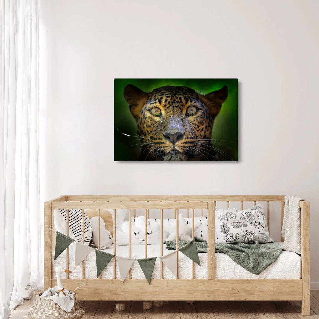 Obraz - Portrét leoparda, Sri Lanka (90x60 cm)