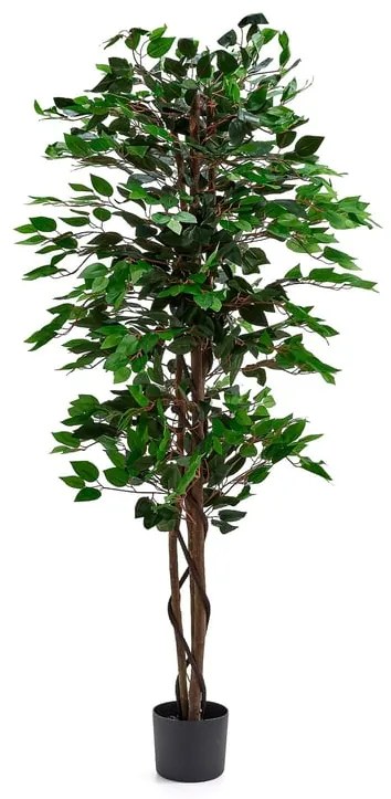 Umelá rastlina EVERGREEN, Ficus Benjamin, V 1600 mm, 1 ks