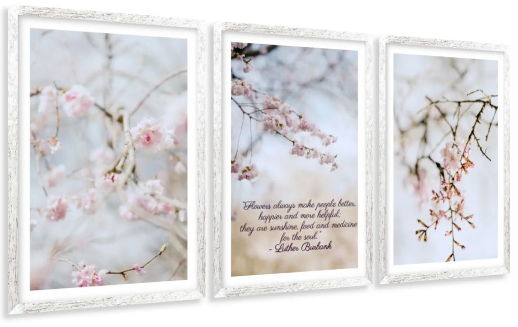 Gario Sada plagátov Kvitnúca višňa - 3 dielna Farba rámu: Rustikálna, Veľkosť: 99 x 45 cm
