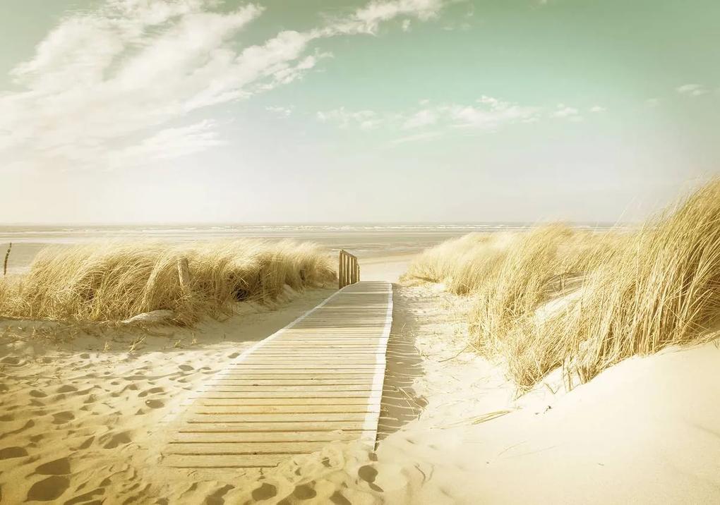 Fototapeta - Pláž (254x184 cm)