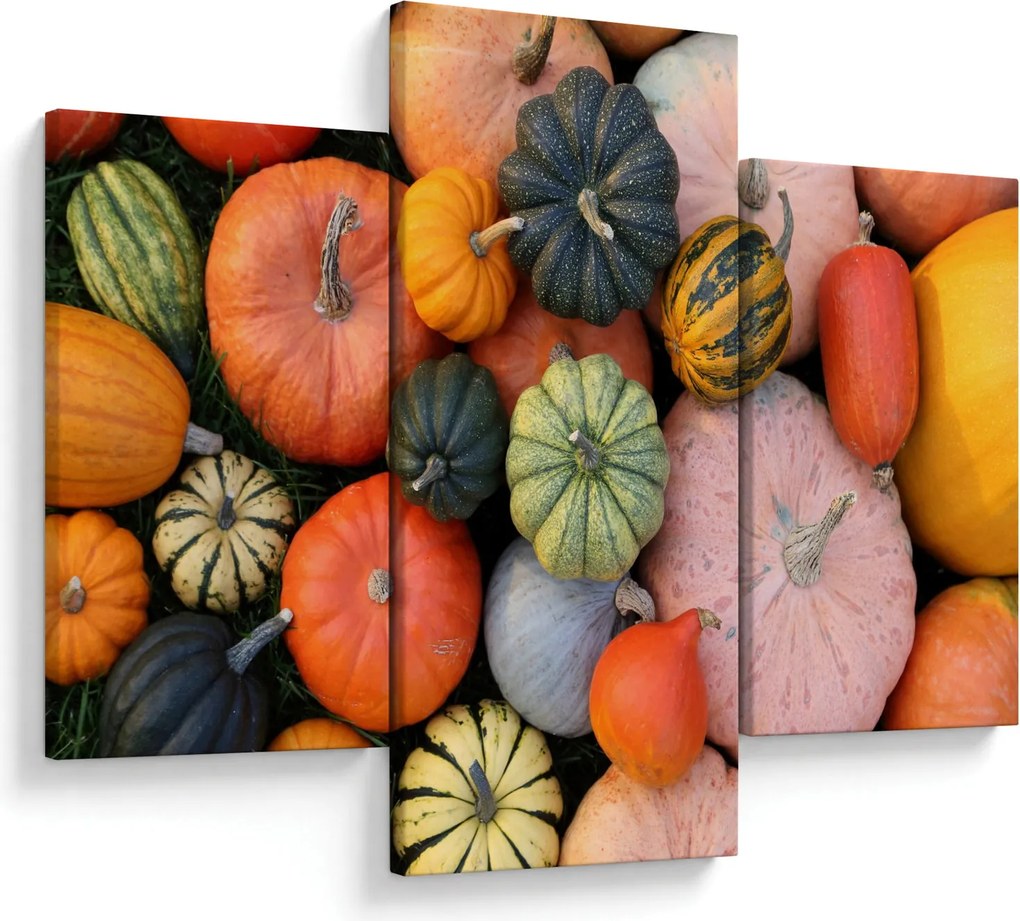 Obraz - Tekvica (90x60 cm)