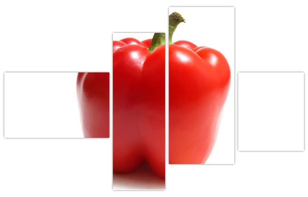 Paprika červená, obraz
