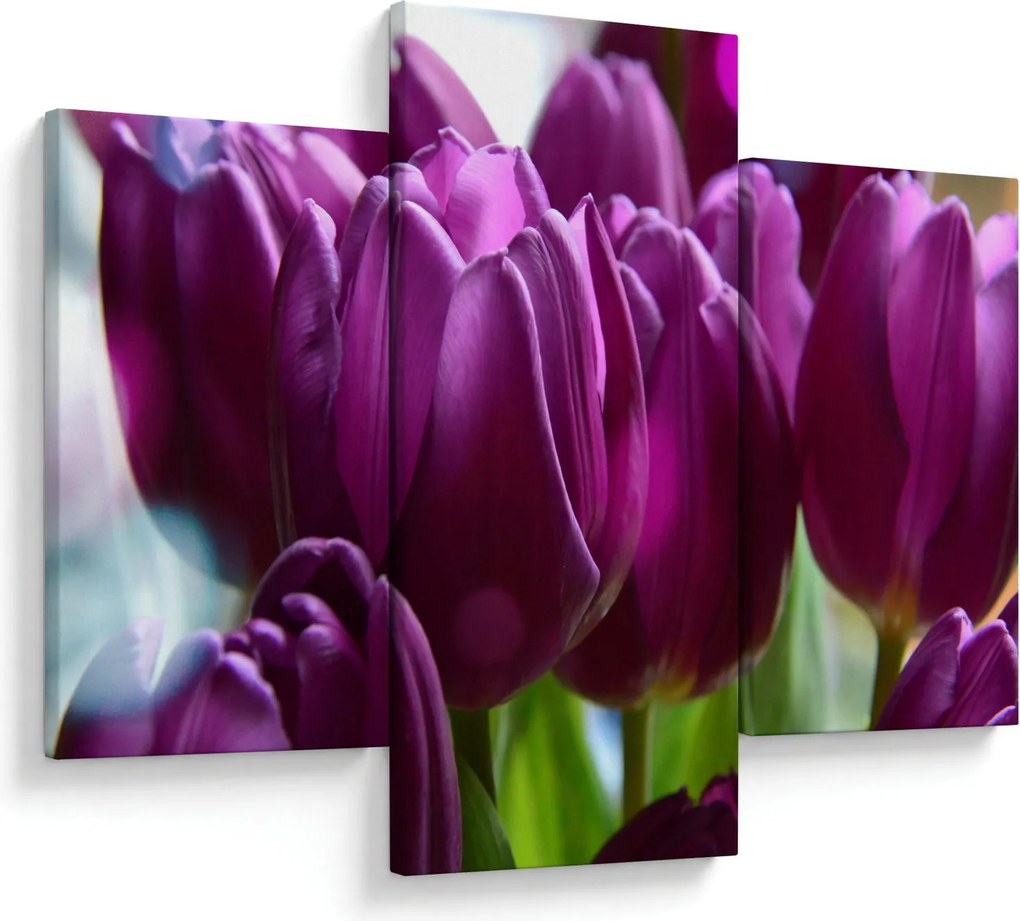 Obraz tulipánov (90x60 cm)
