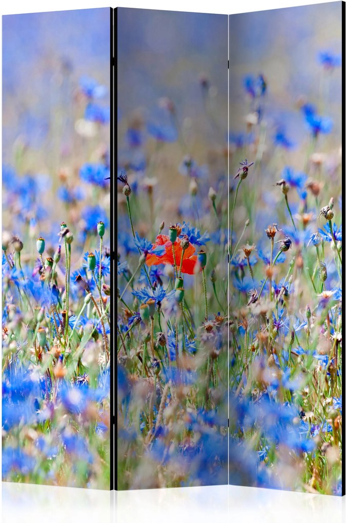 Paraván - A sky-colored meadow - cornflowers [Room Dividers] 135x172