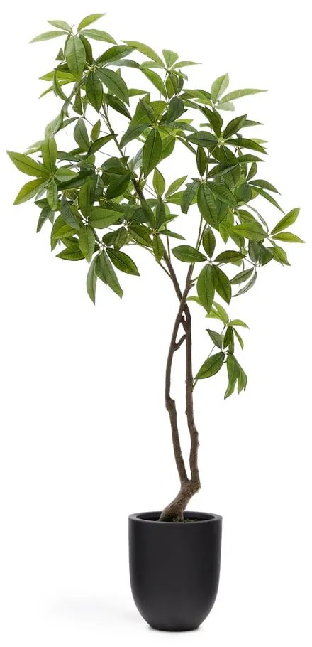 Umelá rastlina (výška 180 cm) Pachira – Kave Home