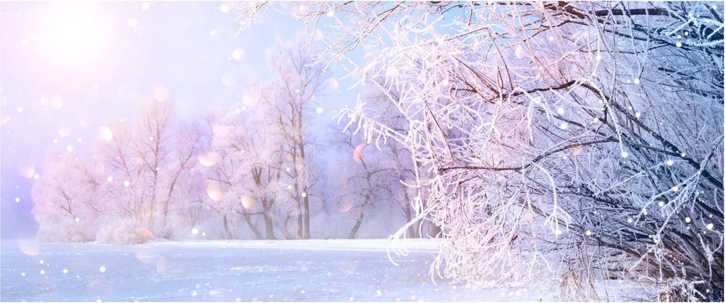 Obraz - Mrazivá zima (120x50 cm)