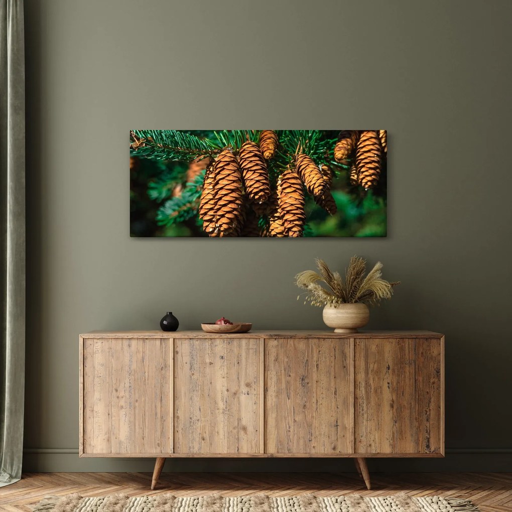 Obraz šišiek (120x50 cm)