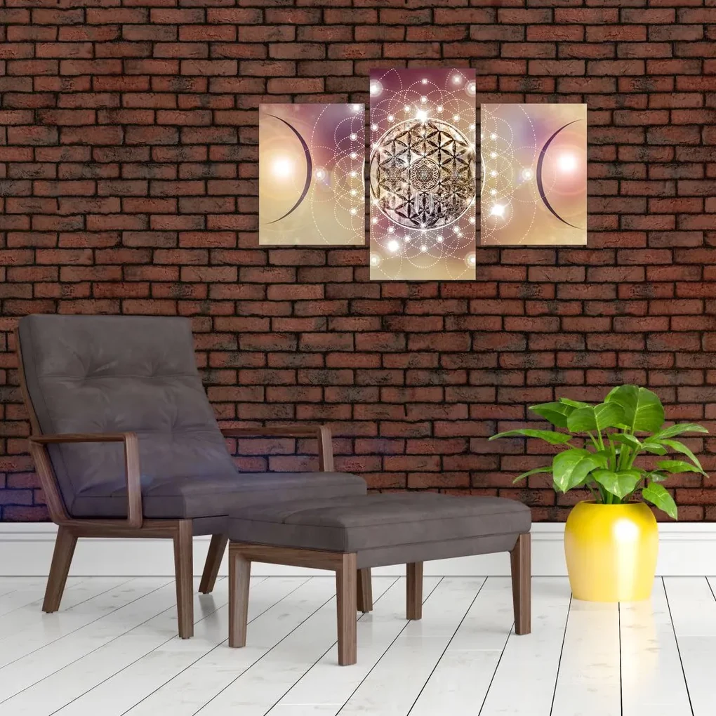 Obraz - Mandala s elementmi (90x60 cm)