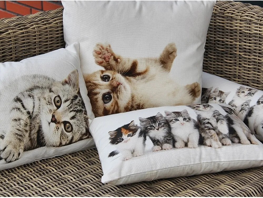 Biely bavlnený dlhý vankúš s mačiatkami Kittens - 90*20*10cm