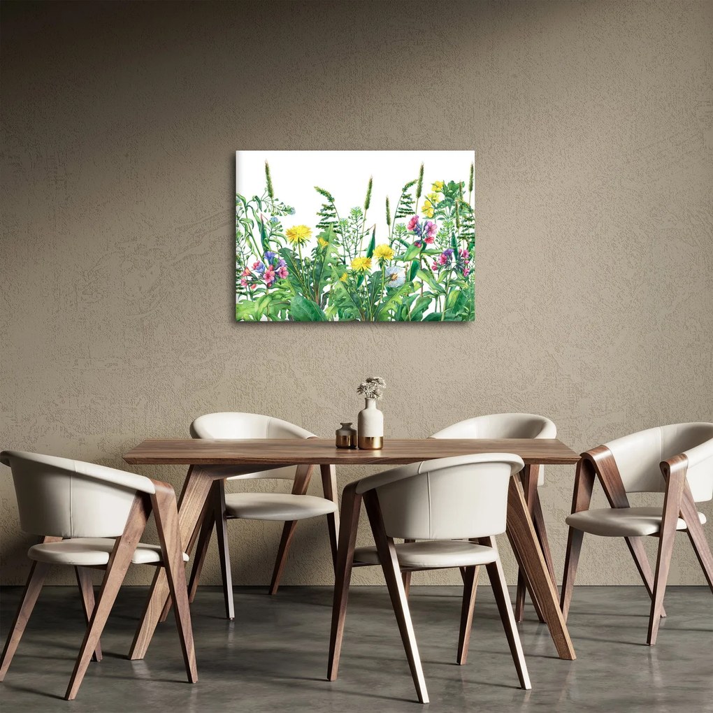 Obraz - Maľované lúčne kvety (70x50 cm)