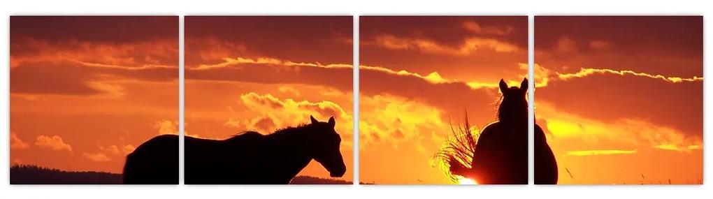 Obraz - kone pri západe slnka