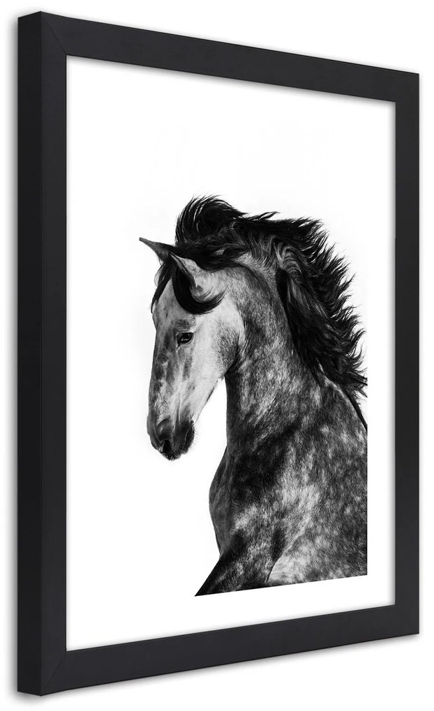 Gario Plagát Divoký orol Farba rámu: Bez rámu, Rozmery: 40 x 60 cm