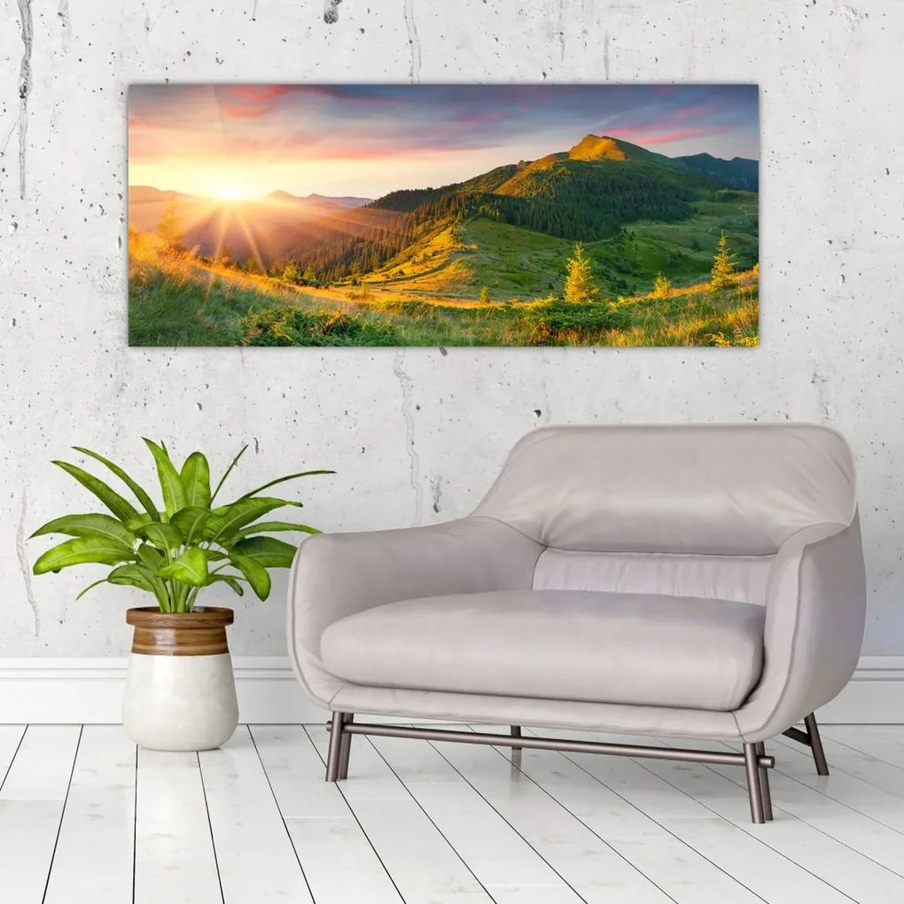 Obraz - Letná krajina (120x50 cm)