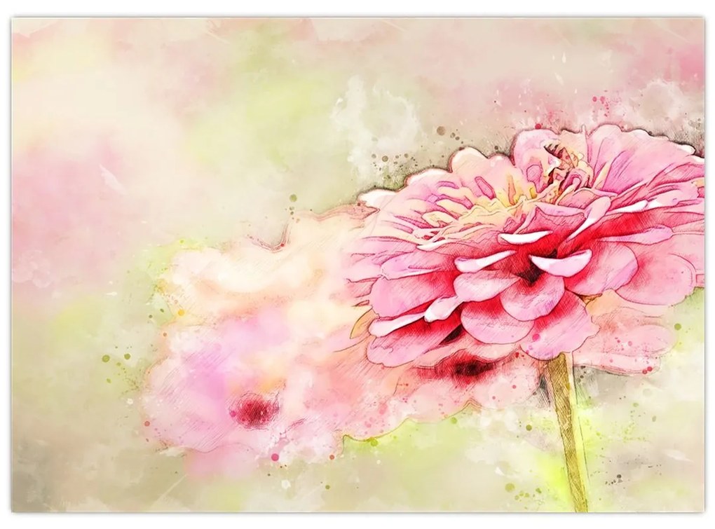 Obraz - Ružový kvet, aquarel (70x50 cm)