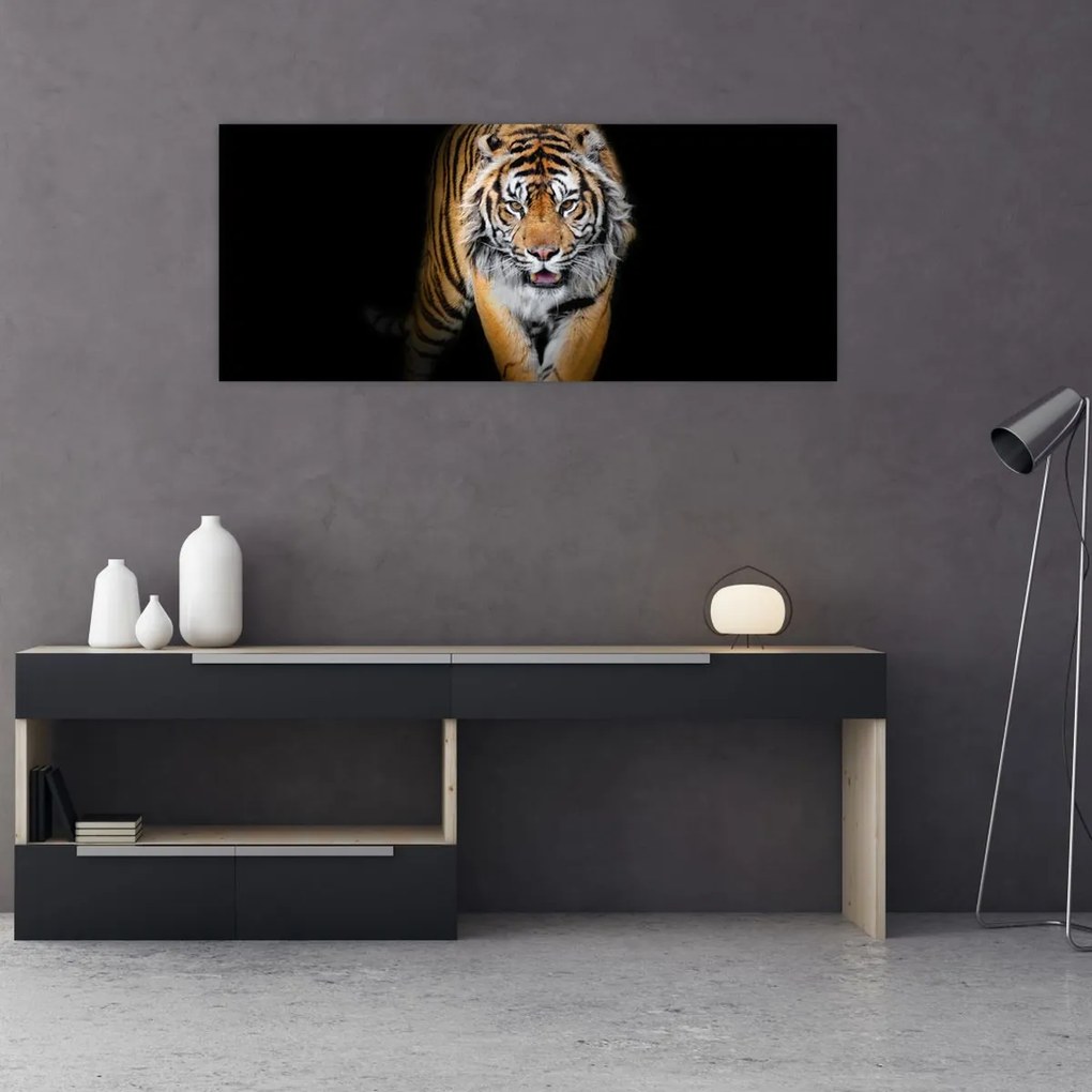 Obraz - Tiger (120x50 cm)