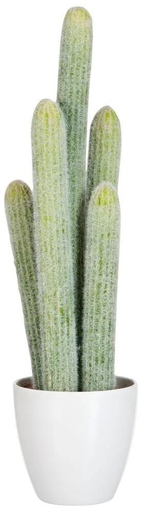 Okrasný kaktus v kvetináči - 16*14*54cm