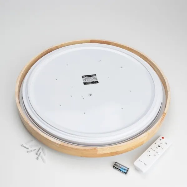 Brilagi - LED stmievateľné stropné svietidlo PINE LED/60W/230V + diaľkové ovládanie